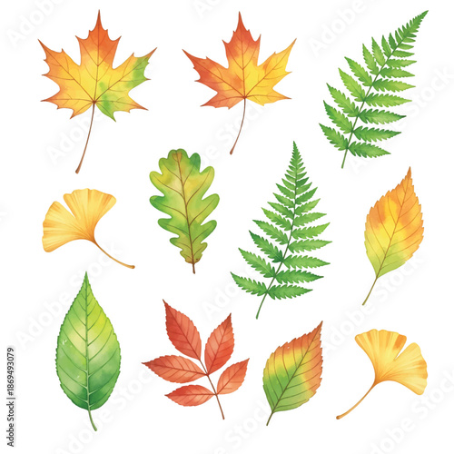 A colorful collection of autumn leaves with maple and oak shapes in yellow, orange, red, brown, and green