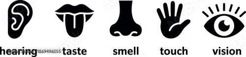 Human senses icons representing hearing taste smell touch vision