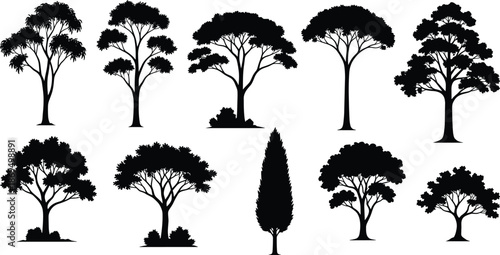 Black Tree Silhouettes Collection, Various Deciduous and Cypress Timber Set, Nature Forest Elements for Landscape Design