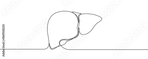 Anatomical illustration of the human liver, a vital internal organ. Symbol of medicine, health, and toxicology in one line art style with editable black stroke. Vector illustration.