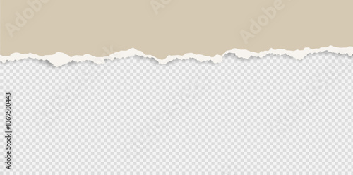 Ripped paper background with rough torn edge isolated on transparent background. Minimal paper texture ideal for mockups, headers, posters, branding, and editorial design