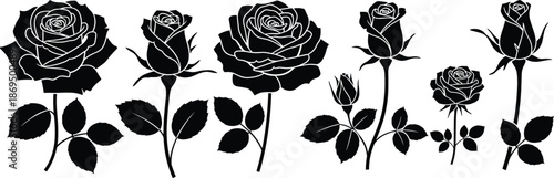Set of black rose silhouettes, flower buds and blooms with stems, cad drawing flat vector illustration