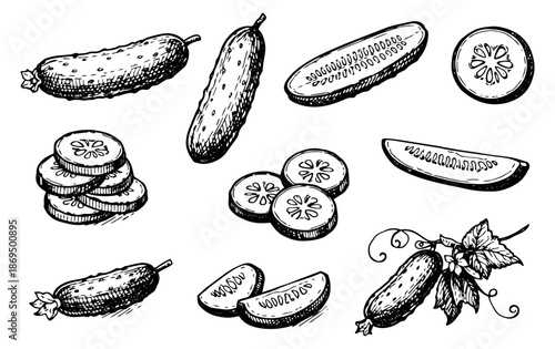 Hand drawn line art cucumber set featuring whole, sliced, and quartered vegetables for healthy eating and cooking designs