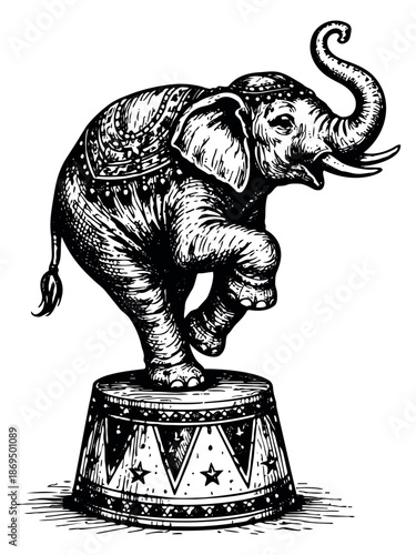 Hand drawn line art illustration of an elephant depicting balancing on a circus pedestal with its trunk raised for entertainment and performance