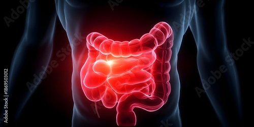 Abdominal pain concept, 3D x-ray illustration of stomach bowel inflammation with pain, ache, inflammation, abdominal, stomach, pain, bowel