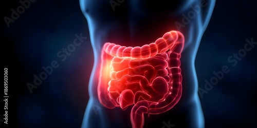 Abdominal pain concept, 3D x-ray illustration of stomach bowel inflammation with stomach, bowel, pain, abdominal, inflammation, pain, ache