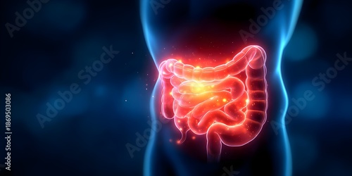 Abdominal pain concept, 3D x-ray illustration of stomach bowel inflammation with stomach, ache, pain, inflammation, bowel, abdominal, pain