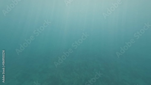 Peaceful underwater view of clear Mediterranean seabed with light rays.