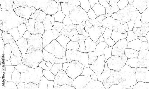 Abstract cracked lines background with black and white contrast, Organic black and white abstract pattern with fractured line texture