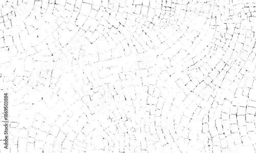 Abstract cracked lines background with black and white contrast, Organic black and white abstract pattern with fractured line texture
