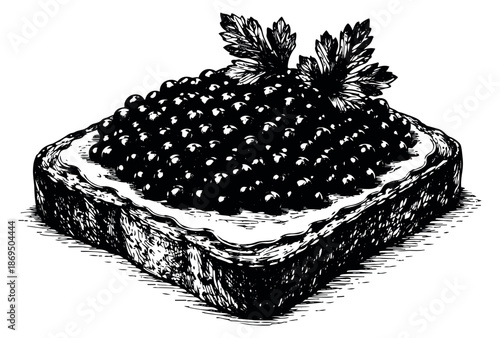 Hand drawn line art illustration of a gourmet caviar toast depicting a luxury appetizer for culinary design