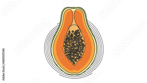 Colorful illustration of a halved papaya fruit with seeds, set against a background of decorative concentric line circles.