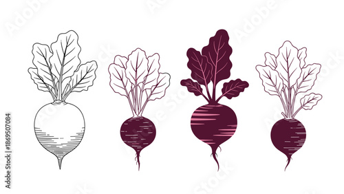 Collection of four beet vegetable illustrations in various artistic styles, including engraving, silhouette, and stylized line art.