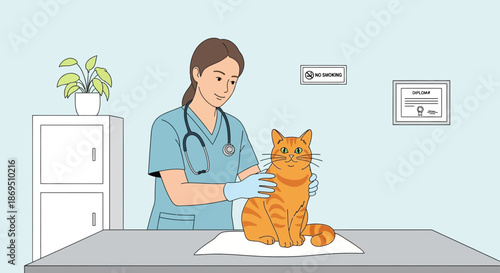 Veterinarian examining orange tabby cat in clinic illustration with diploma on wall