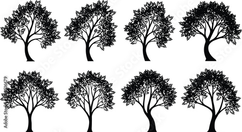 Tree silhouette vector illustration set, detailed black and white deciduous forest trees collection, natural landscape elements for design and decoration