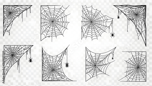 Collection of Black Spider Webs Isolated.