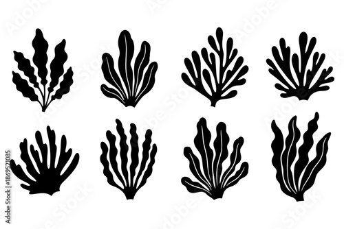 Set of black seaweed and underwater plant silhouettes