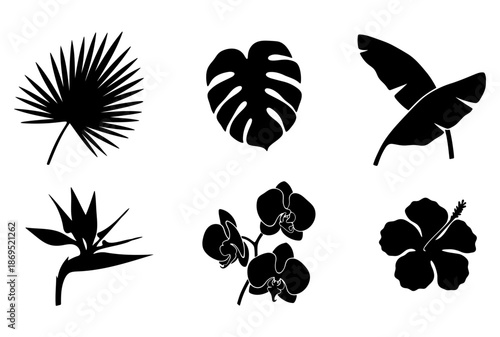 Black silhouettes of tropical leaves and exotic flowers