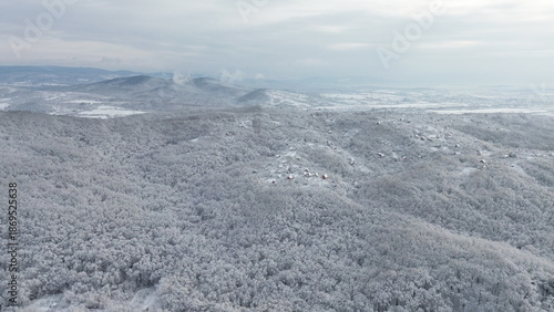 Aerial winter panorama of the Carpathian Mountains covered with snow and frost, vast forested ridges under a pale sky.