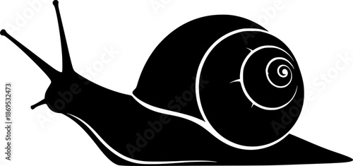 Snail silhouette. This image shows a black silhouette of a snail with a spiral shell and extended antennae, representing mollusk and slow-moving nature. Vector clipart illustration design 