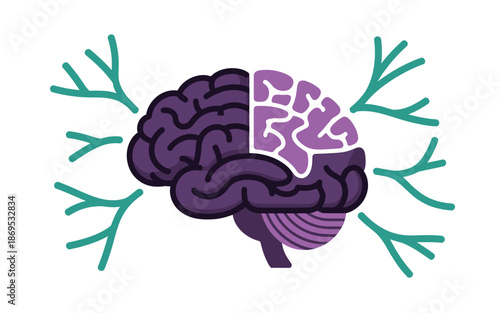 Vibrant brain illustration with purple and teal details on white