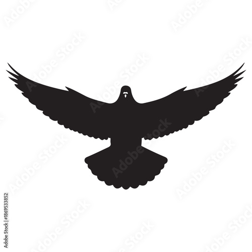 Black Silhouette of a Flying Bird with Spread Wings on a White Background