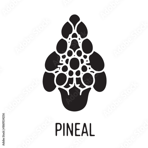 Stylized Black and White Pineal Gland Symbol Illustration
