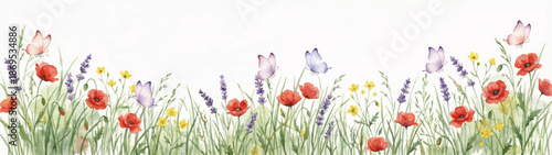 watercolor illustration of flowers and butterflies