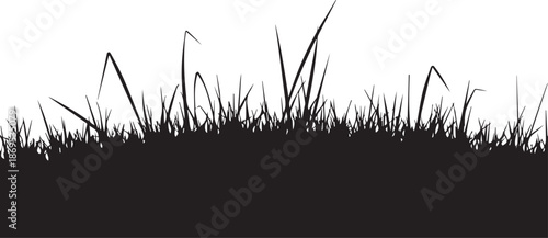 Silhouette of tall grasses