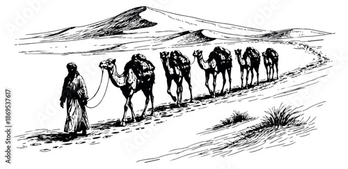 Hand drawn line art illustration of a desert caravan depicting a person leading camels through sand dunes for travel and exploration concepts