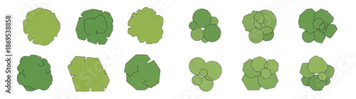 Minimal Flat Vector Top Down Tree Symbols for Landscape Architecture Plans