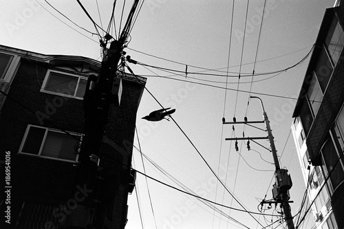 Wallpaper Mural 겨울 골목길 까마귀  Torontodigital.ca