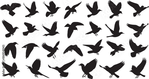 Action Silhouette Collection of Flying Birds and Diverse Avian Flight Poses