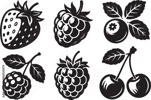 Collection of berries and fruits in white outline on black background Vector.