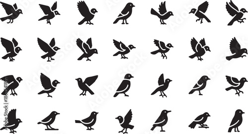 Minimalist Bird Silhouette Collection with Flying and Perching Avian Icons