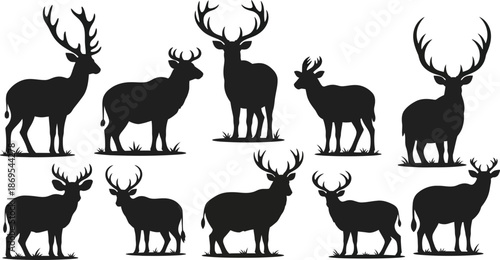 wild animals silhouette group, mammals in standing poses on white background