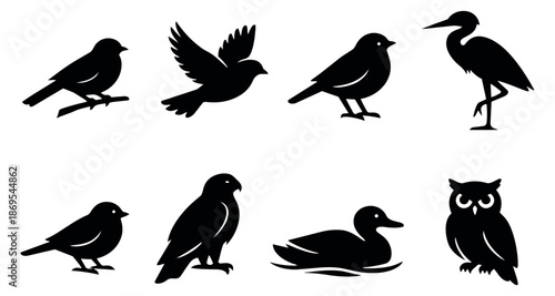 Stylized bird icon set featuring various flying and standing species for nature and wildlife designs