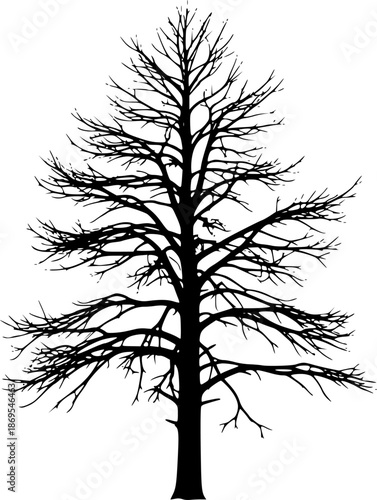 Dead Pine Tree Silhouette – Black Vector Illustration, Leafless Pine Tree, Barren Branches, Winter Solitude, Nature, Minimal Clipart, Editable Vector Design.