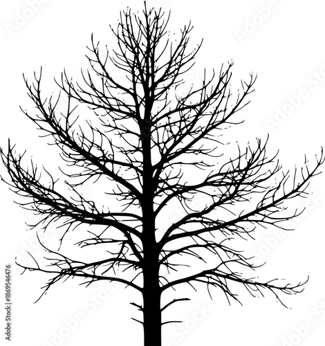 Dead Pine Tree Silhouette – Black Vector Illustration, Leafless Pine Tree, Barren Branches, Winter Solitude, Nature, Minimal Clipart, Editable Vector Design.