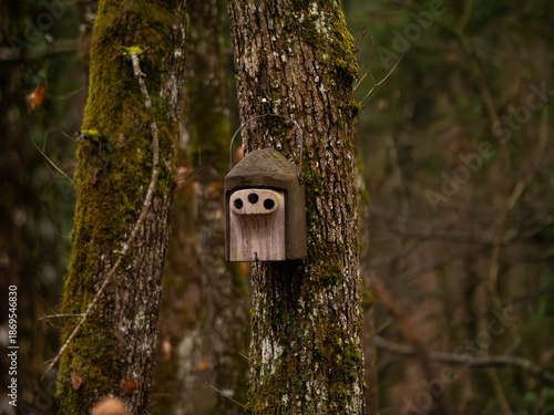 Obraz na płótnie birdhouse on a tree