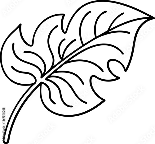 Simple black and white outline of a single leaf with detailed veins and curved edges