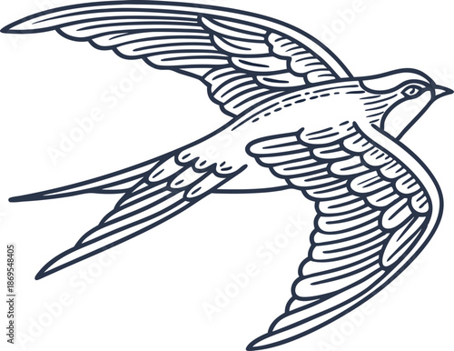 swallow bird flying with detailed wings and tail feathers in mid air