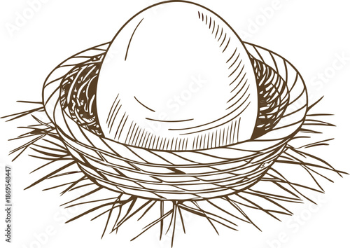 hand drawn illustration of a single egg in a bird nest, natural wildlife concept