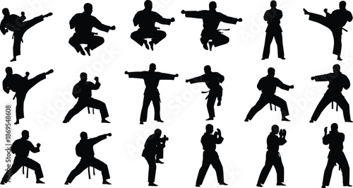 Karate silhouettes of men in various fighting stances and poses martial arts