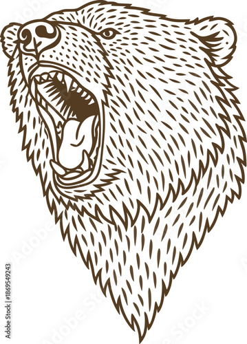 Roaring grizzly bear head illustration with open mouth and sharp teeth detailed drawing