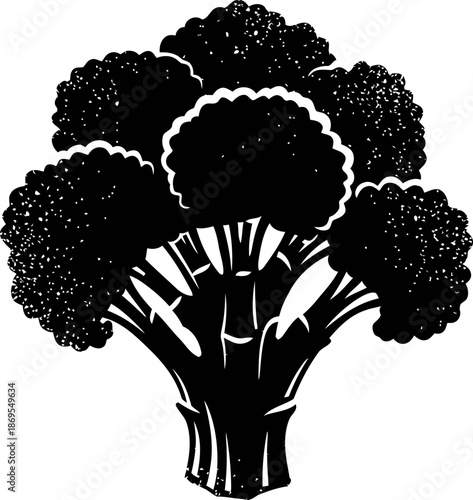 Broccoli vegetable silhouette with clustered florets and sturdy stalks isolated on white