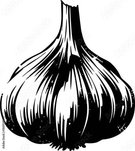 black and white garlic bulb illustration with detailed lines and shading, natural vegetable design