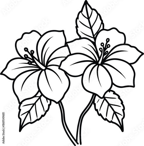 Two beautiful hibiscus flowers with detailed leaves in a charming outline drawing style