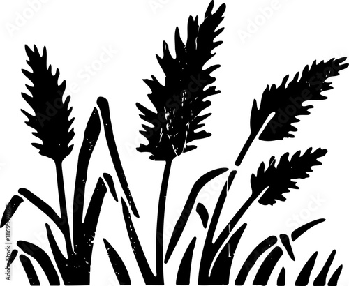 Silhouette of tall grass blades and leafy plants in natural outdoor setting