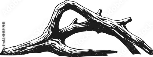 natural wooden driftwood branch with textured bark on white background